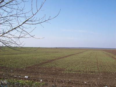 Salcioara teren agricol de vanzare 5ha/3000 euro/ha - Pret | Preturi Salcioara teren agricol de vanzare 5ha/3000 euro/ha