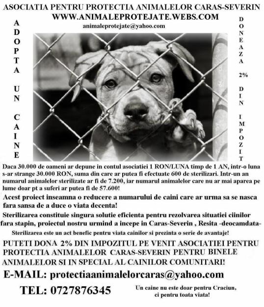 Salveaza o viata - Adopta! - Pret | Preturi Salveaza o viata - Adopta!