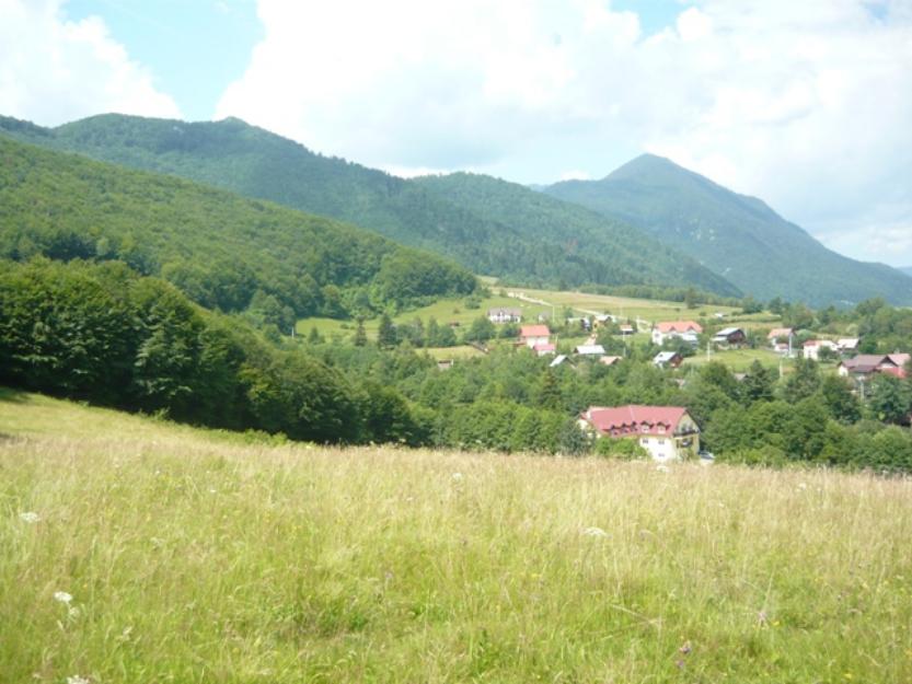 Vand teren intravilan Bran Tohanita - Pret | Preturi Vand teren intravilan Bran Tohanita