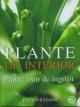 Plante de interior - Plante usor de ingrijit - Pret | Preturi Plante de interior - Plante usor de ingrijit