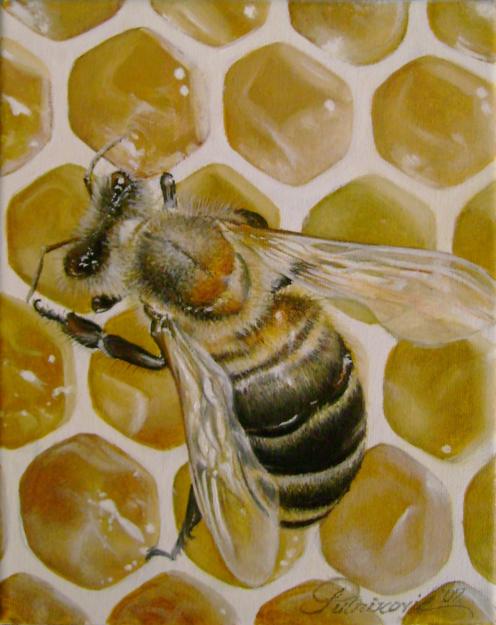 Miere de albine - Pret | Preturi Miere de albine