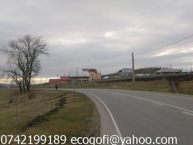 IASI-NORD-LA 8 kM DE CENTRU -10 Ha - Pret | Preturi IASI-NORD-LA 8 kM DE CENTRU -10 Ha