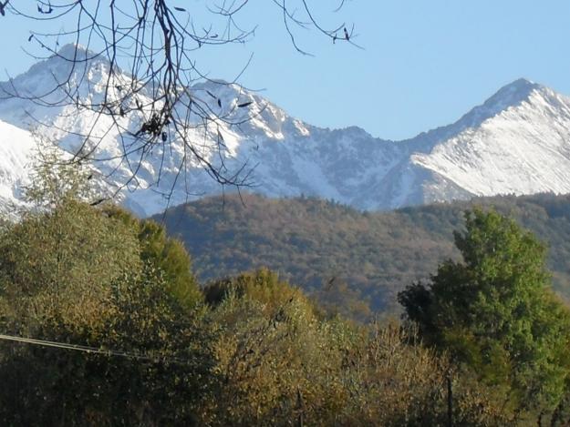 Cabana de inchiriat Valea Avrigului - Pret | Preturi Cabana de inchiriat Valea Avrigului