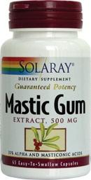 Mastic Gum *45cps - Pret | Preturi Mastic Gum *45cps