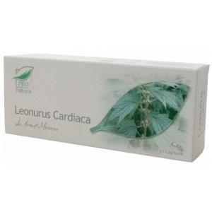 Leonurus Cardiaca *30cps - Pret | Preturi Leonurus Cardiaca *30cps