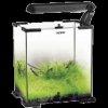 ACVARIU SHRIMP 30 - Pret | Preturi ACVARIU SHRIMP 30