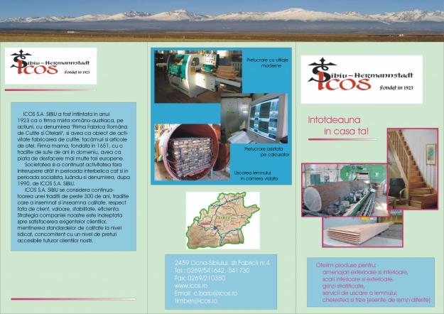 Parchet tip dusumea,din STEJAR,FAG,scari interioare,grinzi stratificate ptr.geam termopan - Pret | Preturi Parchet tip dusumea,din STEJAR,FAG,scari interioare,grinzi stratificate ptr.geam termopan