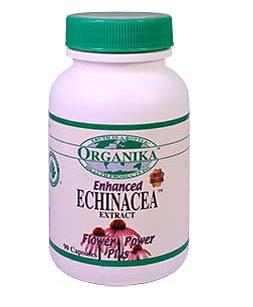 Echinacea Fortificata 500mg *90cps - Pret | Preturi Echinacea Fortificata 500mg *90cps