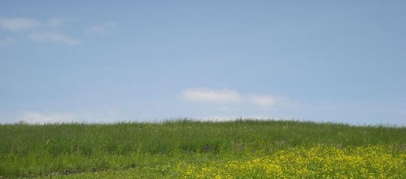 Teren agricol Teleorman, Turnu Magurele - Pret | Preturi Teren agricol Teleorman, Turnu Magurele