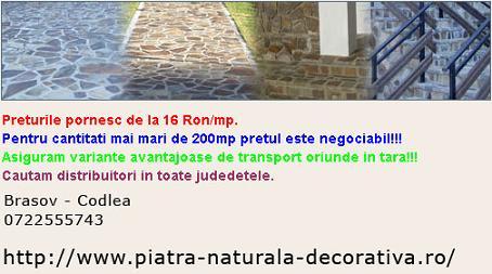 PIATRA NATURALA PIATRA DECORATIVA PIATRA ORNAMENTALA PIATRA CUBICA - Pret | Preturi PIATRA NATURALA PIATRA DECORATIVA PIATRA ORNAMENTALA PIATRA CUBICA