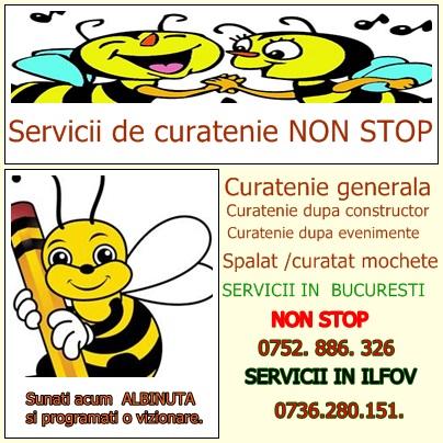 curatenie ,spalam mochete ,tapiterii ,canapele non stop - Pret | Preturi curatenie ,spalam mochete ,tapiterii ,canapele non stop