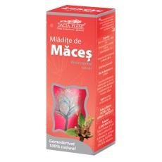 Gemoderivat Mladite de Maces 50ml - Pret | Preturi Gemoderivat Mladite de Maces 50ml