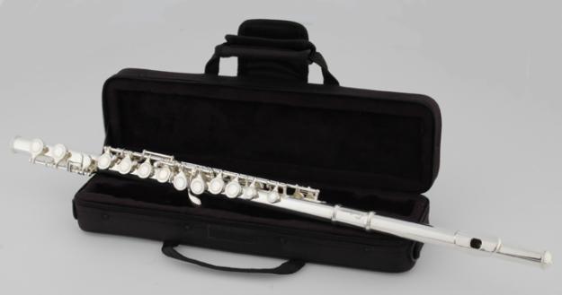 Flaut nou Eastman EFL-501 - Pret | Preturi Flaut nou Eastman EFL-501