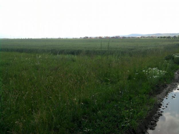 Vand avantajos teren extravilan 10 000 mp chilieni - Pret | Preturi Vand avantajos teren extravilan 10 000 mp chilieni