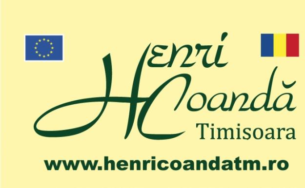 SCOALA TEHNICA POSTLICEALA HENRI COANDA TIMISOARA - Pret | Preturi SCOALA TEHNICA POSTLICEALA HENRI COANDA TIMISOARA