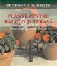 PLANTE PENTRU BALCON SI TERASE - Pret | Preturi PLANTE PENTRU BALCON SI TERASE
