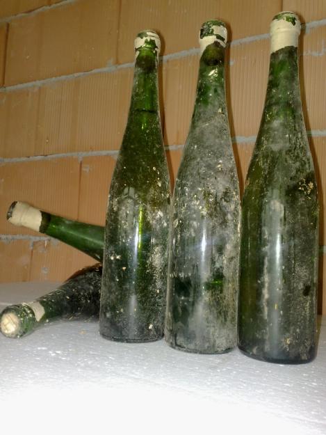 Vin de colectie vechi Feteasca Alba 1974 - Pret | Preturi Vin de colectie vechi Feteasca Alba 1974