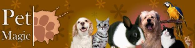 Produse pentru animale - pet shop online - Pret | Preturi Produse pentru animale - pet shop online