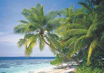 Puzzle Ravensburger 1500 Maldive - Pret | Preturi Puzzle Ravensburger 1500 Maldive