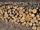 lemne de foc - Pret | Preturi lemne de foc