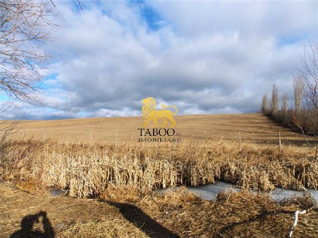 Teren intravilan agricol 60000 mp in jud Sibiu zona Sura Mica - Pret | Preturi Teren intravilan agricol 60000 mp in jud Sibiu zona Sura Mica