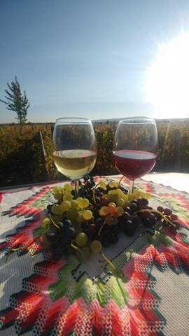 Crama Toaca Cosmin - vinuri albe si rosii - Pret | Preturi Crama Toaca Cosmin - vinuri albe si rosii