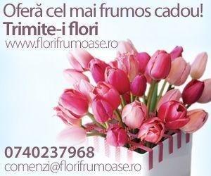 Florarie on-line si Agentie organizatoare de evenimente full-service - Pret | Preturi Florarie on-line si Agentie organizatoare de evenimente full-service