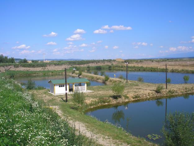 baza piscicola - Pret | Preturi baza piscicola