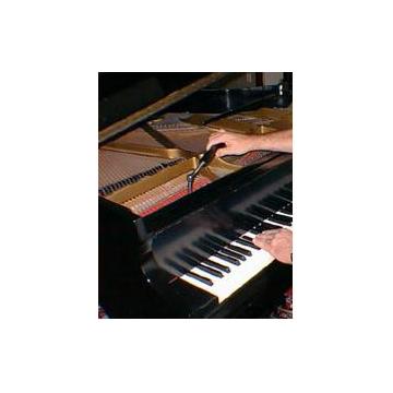 Acordaj piane, pianine - Pret | Preturi Acordaj piane, pianine