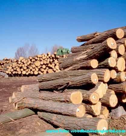 lemn de foc - Pret | Preturi lemn de foc