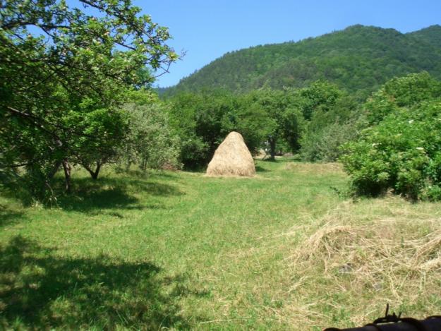 VAND TEREN INTRAVILAN CENTRAL IN POIANA SARATA - Pret | Preturi VAND TEREN INTRAVILAN CENTRAL IN POIANA SARATA