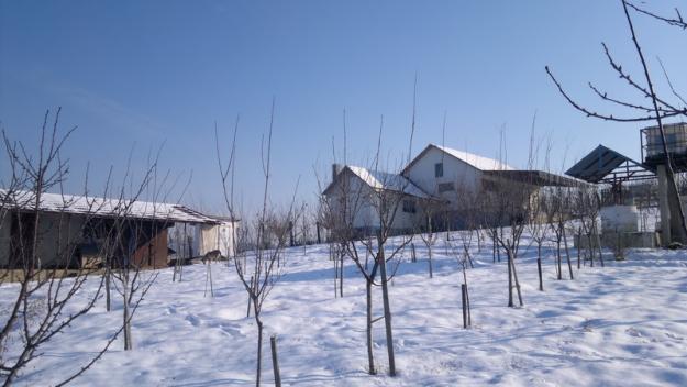 Teren in Targu Mures - Dealul Budiului - Pret | Preturi Teren in Targu Mures - Dealul Budiului