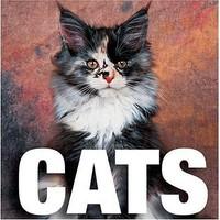 Cats - Pret | Preturi Cats
