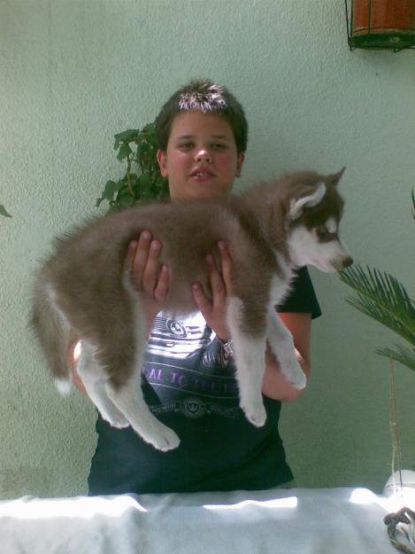  - Pret | Preturi 