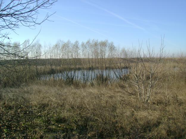 Teren cu deschidere lac - Pret | Preturi Teren cu deschidere lac