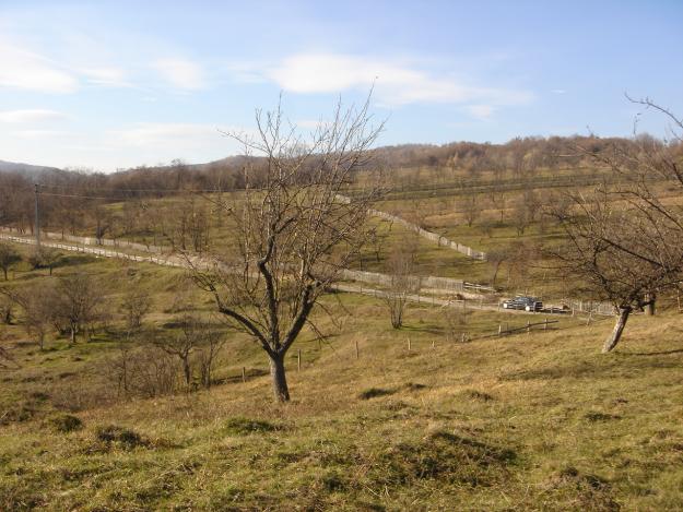 vand teren zona montana pt casa de vacanta - Pret | Preturi vand teren zona montana pt casa de vacanta