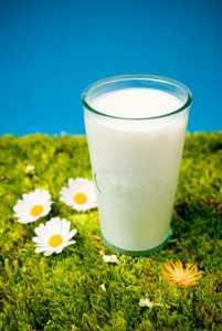 vand lapte de capra ecologic 100% in Bucuresti - Pret | Preturi vand lapte de capra ecologic 100% in Bucuresti