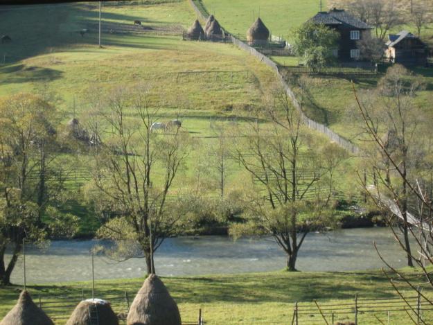 Vand teren PUTNA(Suceava) - Pret | Preturi Vand teren PUTNA(Suceava)