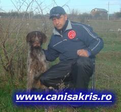 DRESAJ CANIN,PENSIUNI CANINE SI FELINE,DOG SITTER,TAXI DOG,SERVICII DE VANATOARE - Pret | Preturi DRESAJ CANIN,PENSIUNI CANINE SI FELINE,DOG SITTER,TAXI DOG,SERVICII DE VANATOARE