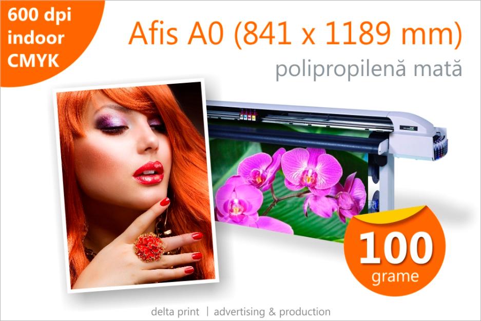 Afis A0 - 26 lei Print indoor pe polipropilena mata 100g - Pret | Preturi Afis A0 - 26 lei Print indoor pe polipropilena mata 100g