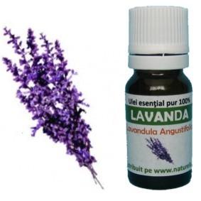 Ulei Esential Lavanda 10ml - Pret | Preturi Ulei Esential Lavanda 10ml