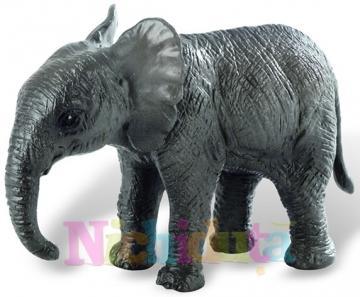 Pui de elefant african Deluxe - Pret | Preturi Pui de elefant african Deluxe