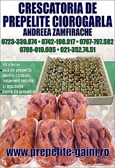 vand oua si carne de prepelita - Pret | Preturi vand oua si carne de prepelita