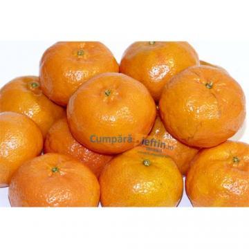 Mandarine kilogram - Pret | Preturi Mandarine kilogram