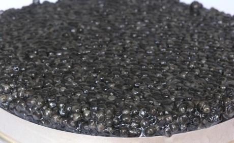 Caviar , icre negre , icre rosii - Pret | Preturi Caviar , icre negre , icre rosii
