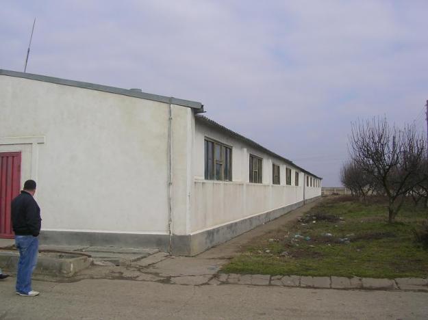 vand ferma valea argovei - Pret | Preturi vand ferma valea argovei