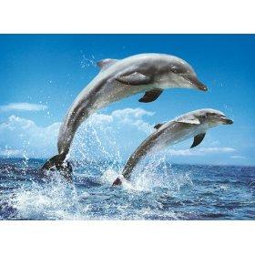 Puzzle Clementoni 1000 Delfini 2 - Pret | Preturi Puzzle Clementoni 1000 Delfini 2