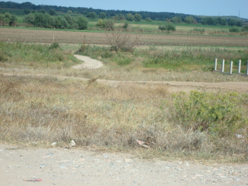 Ofertă vânzare teren Murighiol - Pret | Preturi Ofertă vânzare teren Murighiol