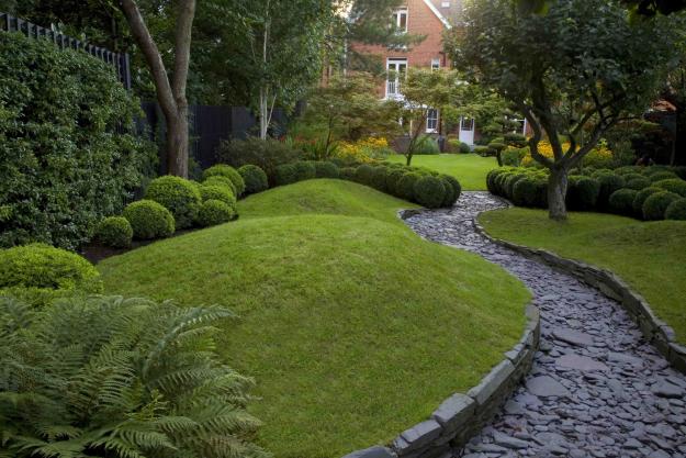 Vand Buxus - Pret | Preturi Vand Buxus