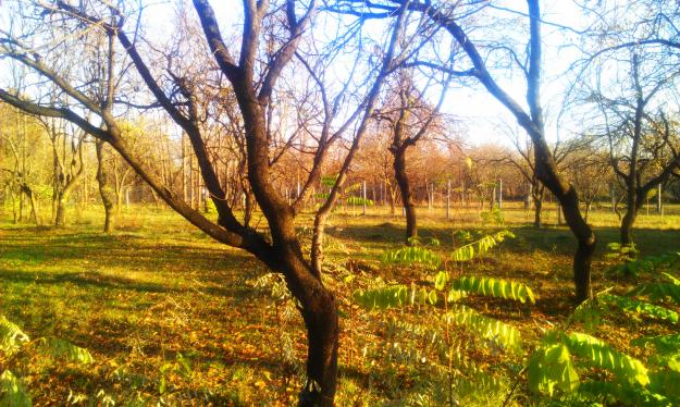 teren intraviran in zona rezidentiala platou teisani - Pret | Preturi teren intraviran in zona rezidentiala platou teisani